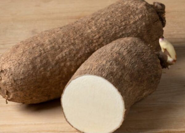 Tuber of yam