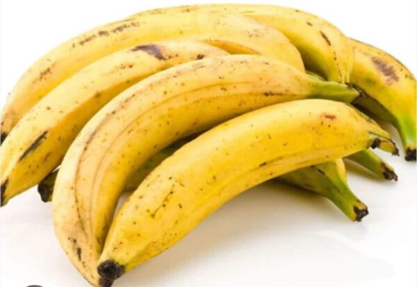 Bunch of plantain