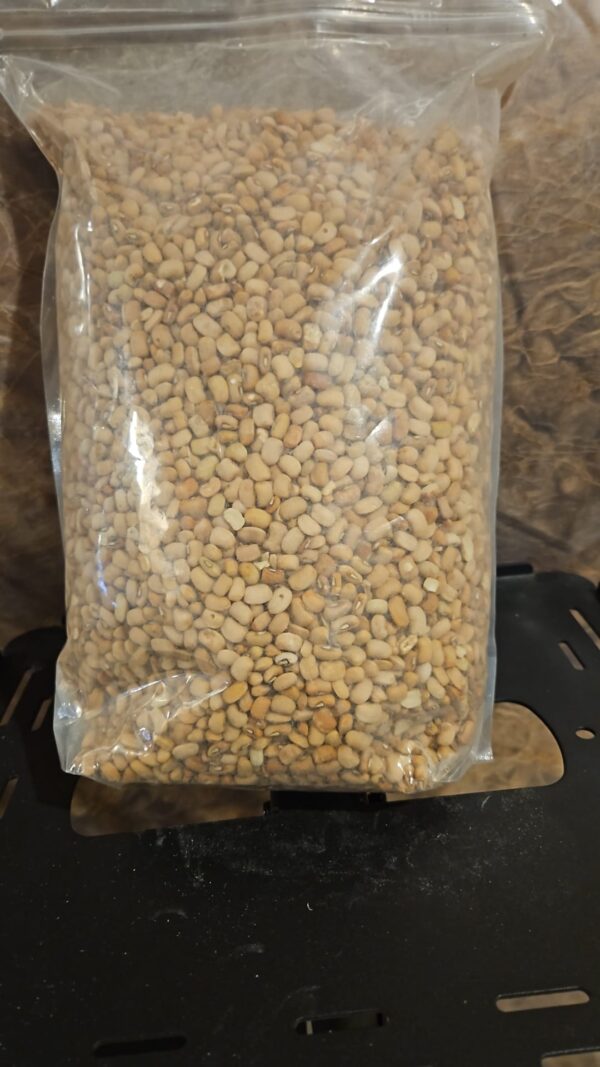 Pack of Beans