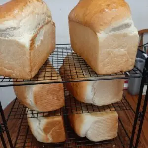 Loafs of bread
