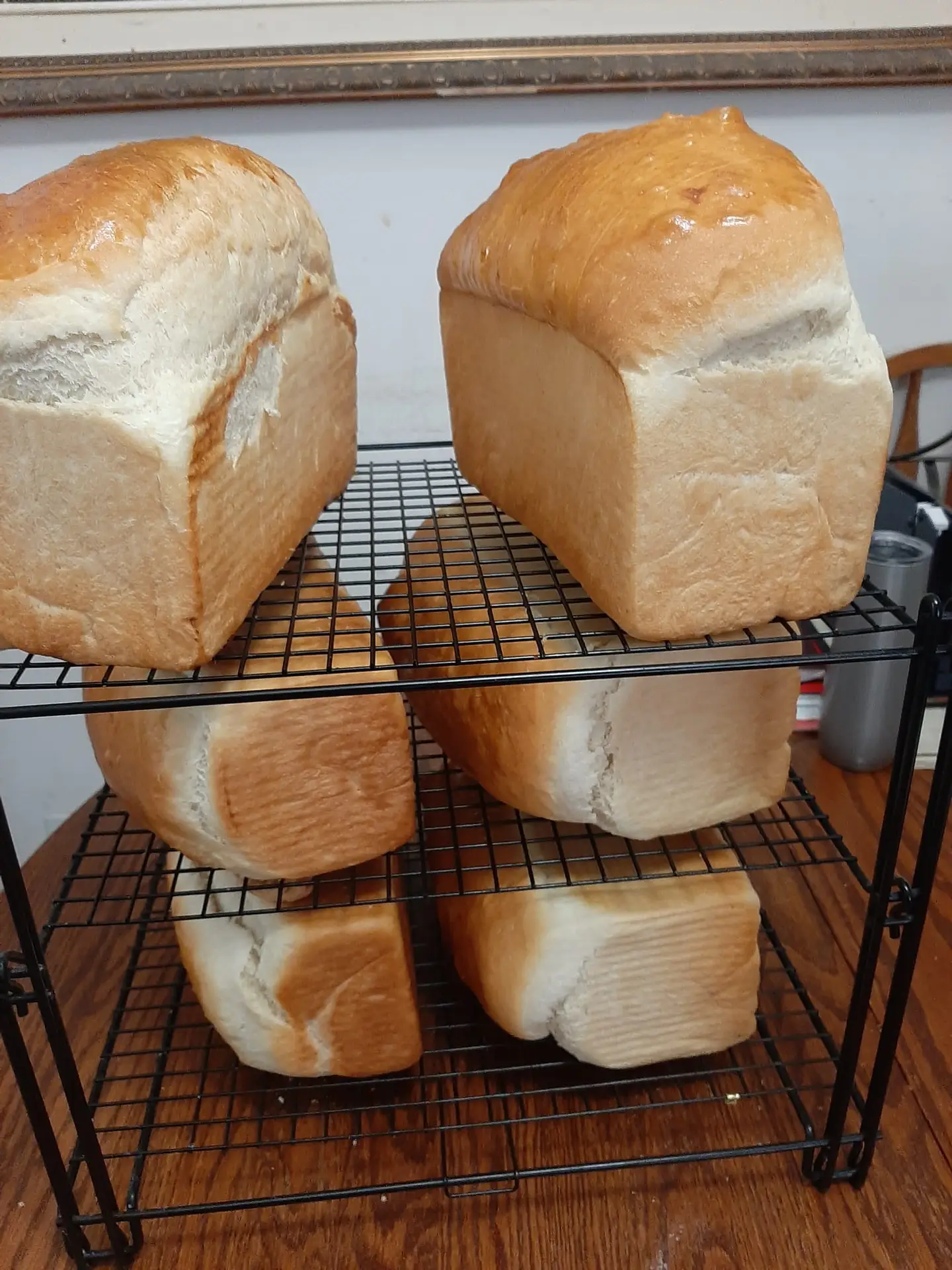 Loafs of bread